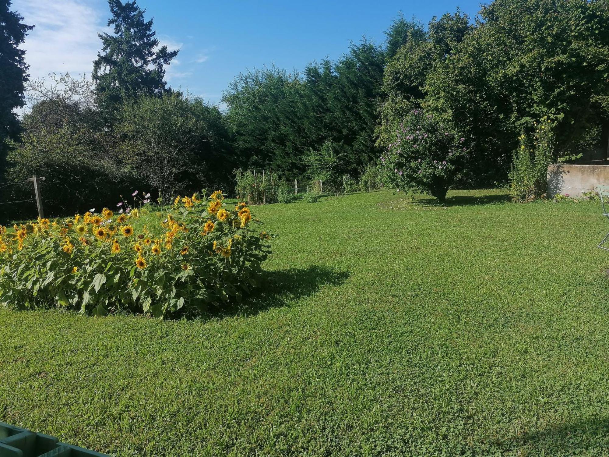 Petite Maison Dans Le Morvan Luzy Екстер'єр фото